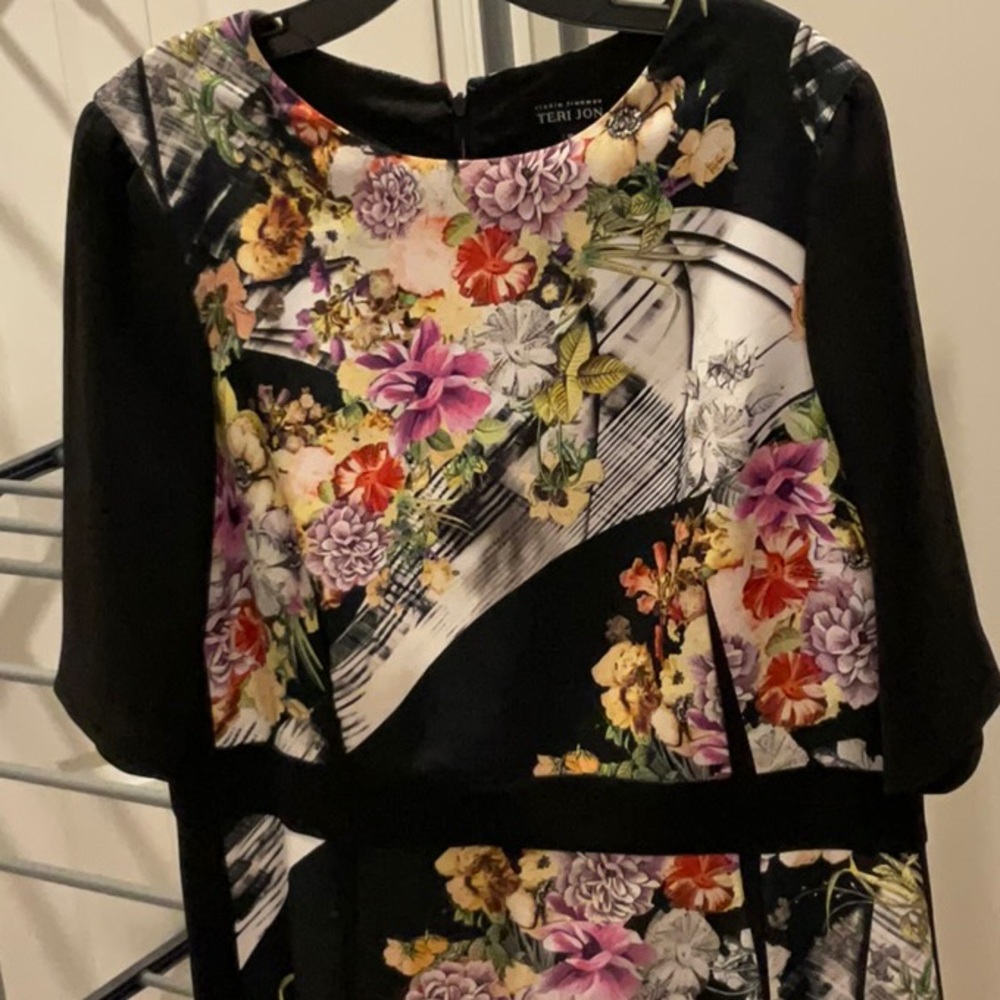 Teri Jon dress